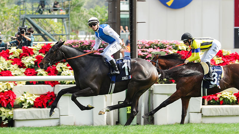 La victoire du français Junko, l'année dernière dans le Longines Hong Kong Vase (Gr1). Son entraîneur André Fabre pourrait déléguer de nouveaux atouts...