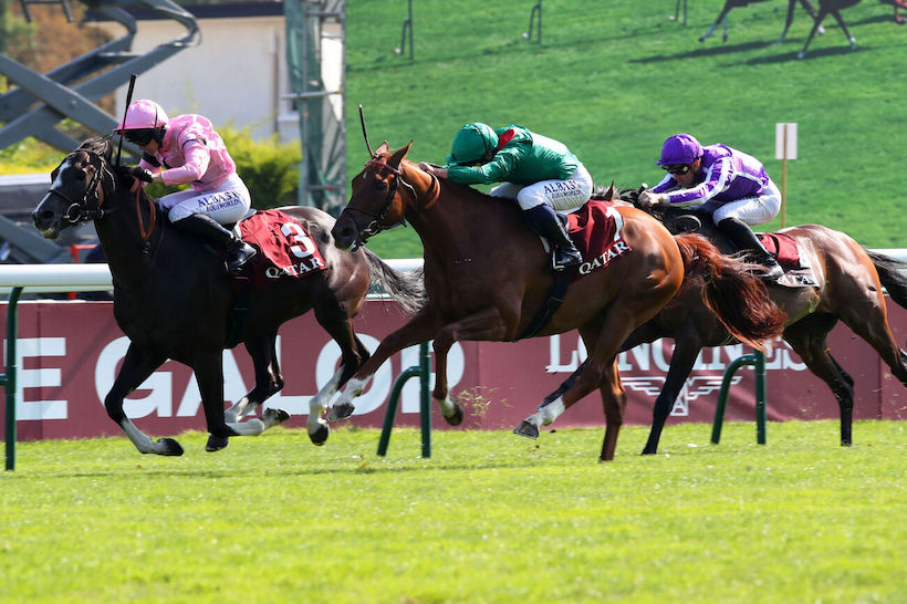 Iresine et Zarir, devant Continuous, aux prises à l'arrivée du dernier Prix Foy (Gr2) à Longchamp. Tous trois seront au départ de deux courses différentes lors de la journée internationale Longines, le 8 décembre prochain.