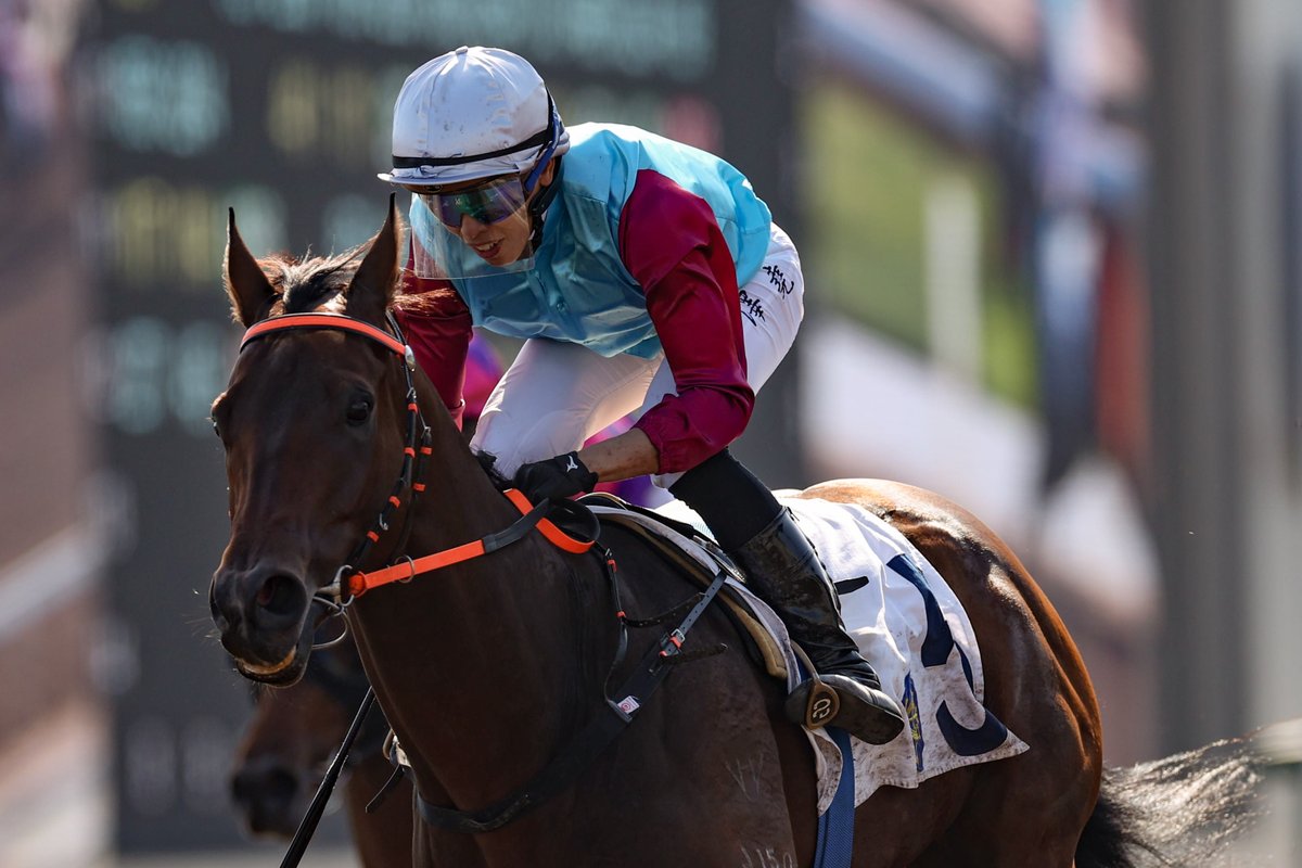 Le jockey Vincent Ho a gagné trois courses, ici avec Vulcanus, alors qu'il s'apprête à défendre son titre, mercredi à Happy Valley, au challenge international des jockeys.